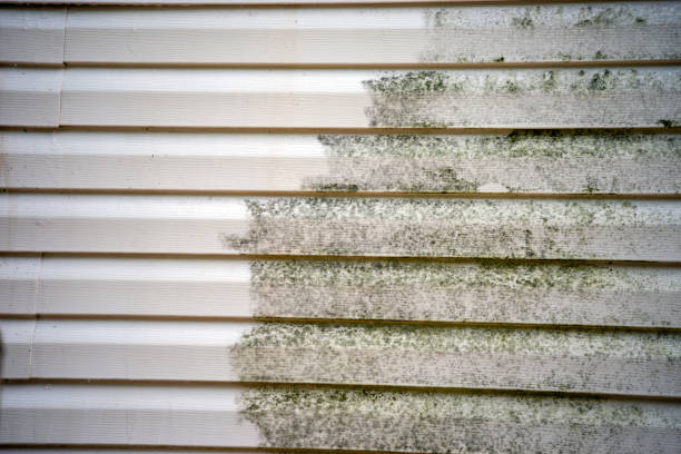 Best Fascia and Soffit Installation  in Cliffwood Beach, NJ