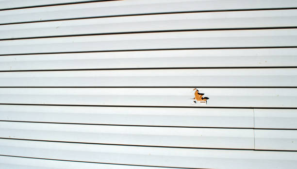 Best Storm Damage Siding Repair  in Cliffwood Beach, NJ